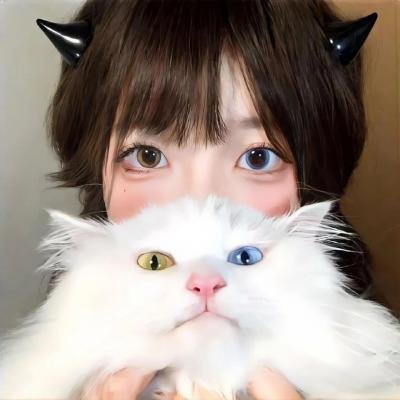 最佳嫌疑人